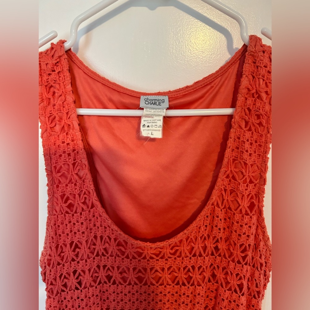 Charming Charlie Summer Dress